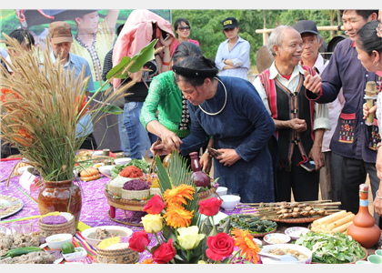 Hội thi 
