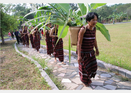 Tái hiện Lễ hội cúng Thần Lúa (Sayangva) của dân tộc Chơ Ro