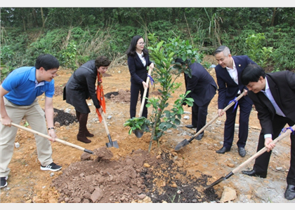  400 cây xanh trồng tại “Ngôi nhà chung”