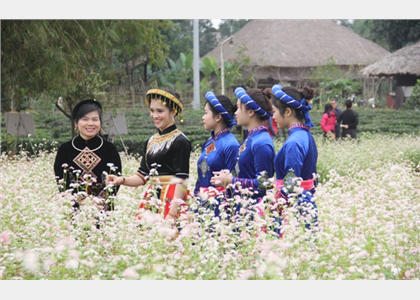 Chương trình 