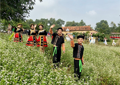  Tổ chức các hoạt động tháng 3 
