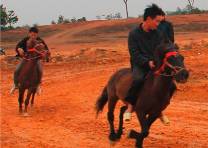 Đồng bào dân tộc Mông đưa ngựa về 